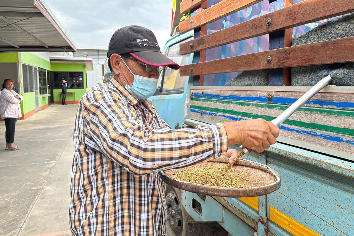 economic-business-thai-jasmine-rice-cooperative -SPACEBAR-Photo03.jpg