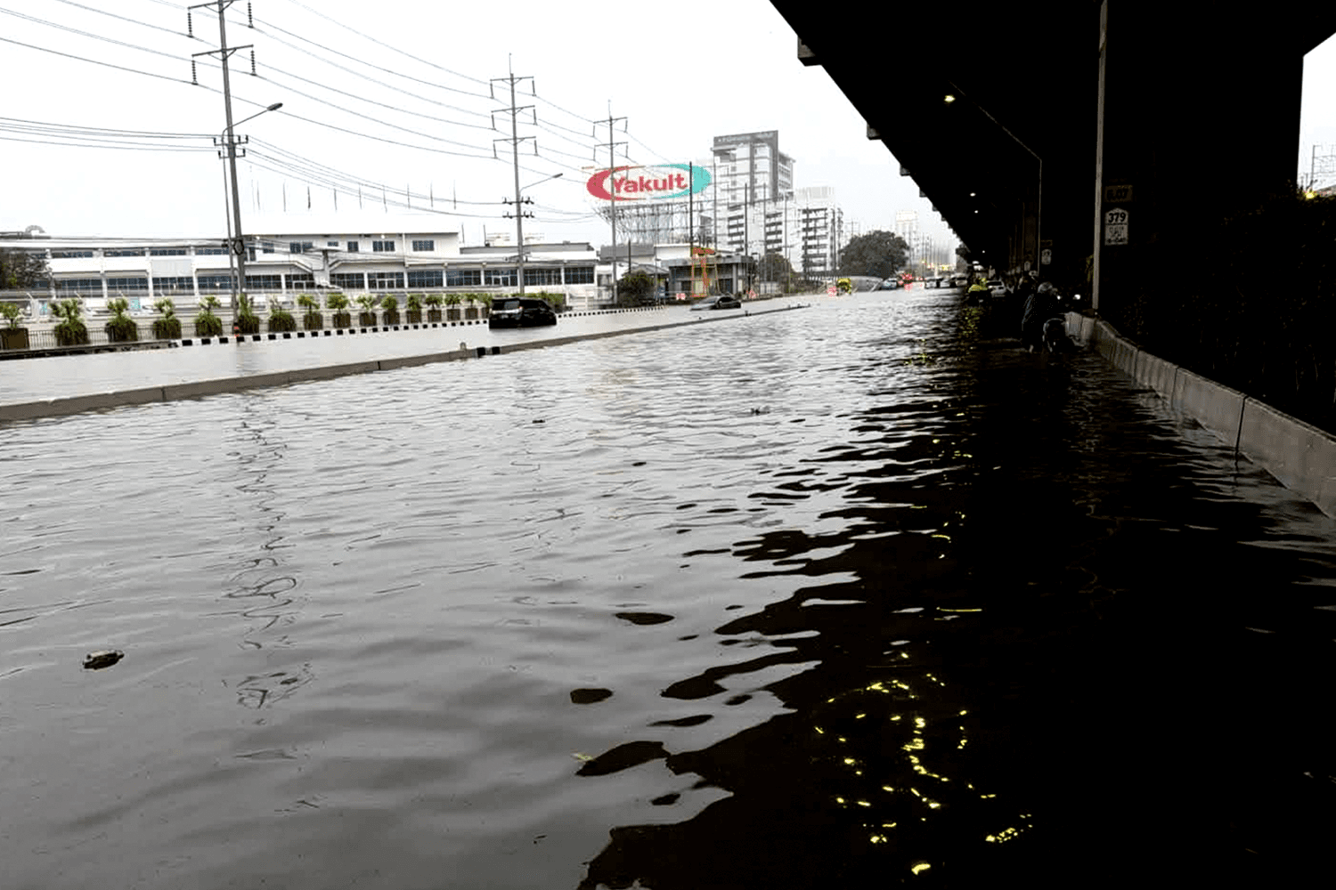 โทลล์เวย์-มอเตอร์เวย์เปิดฟรี รับมือน้ำท่วม เช็กเวลาใช้ทางฟรีที่นี่