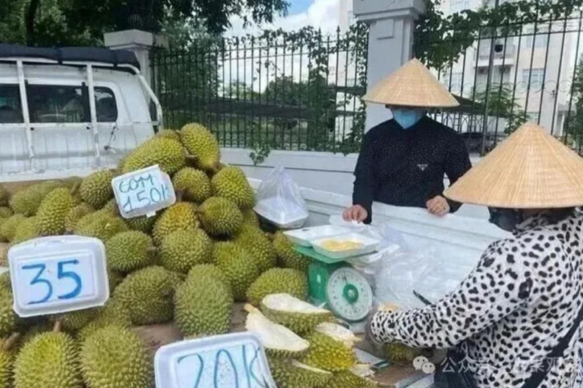 economic-business-thai-vietnamese-durian-exports-china-SPACEBAR-Photo01.jpg
