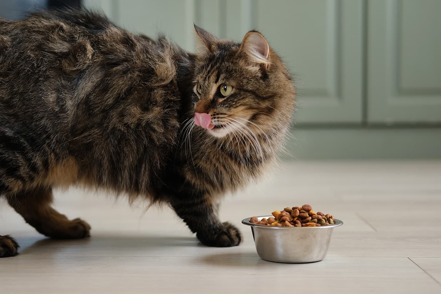 economic_business_pet_food_export_SPACEBAR_Hero_aaf1a519c2.jpg