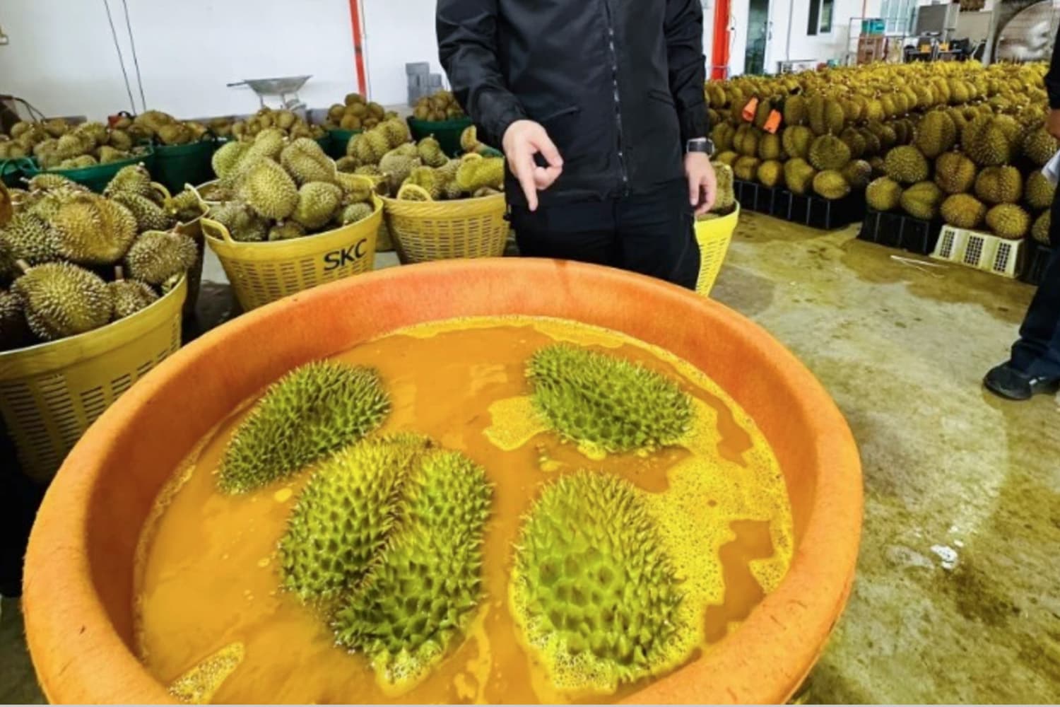 economic_business_thai_durian_exported_china_industries_consumer_SPACEBAR_Hero_2790e31967.jpg