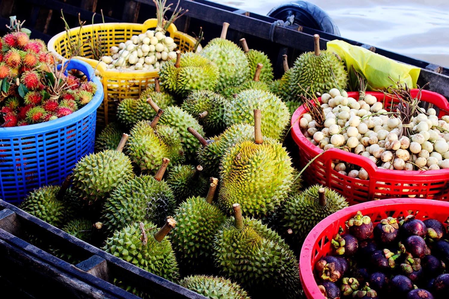 economic_business_thai_durian_mangosteen_longan_langsat_SPACEBAR_Hero_1d6d5c892c.jpg