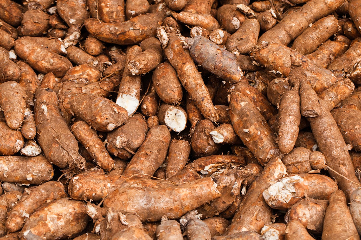 economic_business_thai_export_cassava_china_markets_industries_products_SPACEBAR_Hero_9582774148.jpg