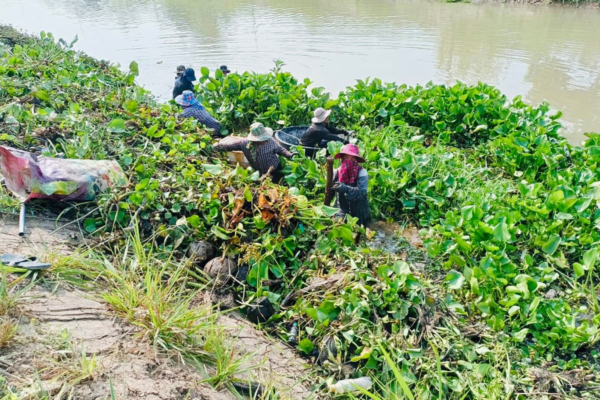 economic_business_thai_irrigation_employment_farmers_SPACEBAR_Photo01_55255be0c3.jpg