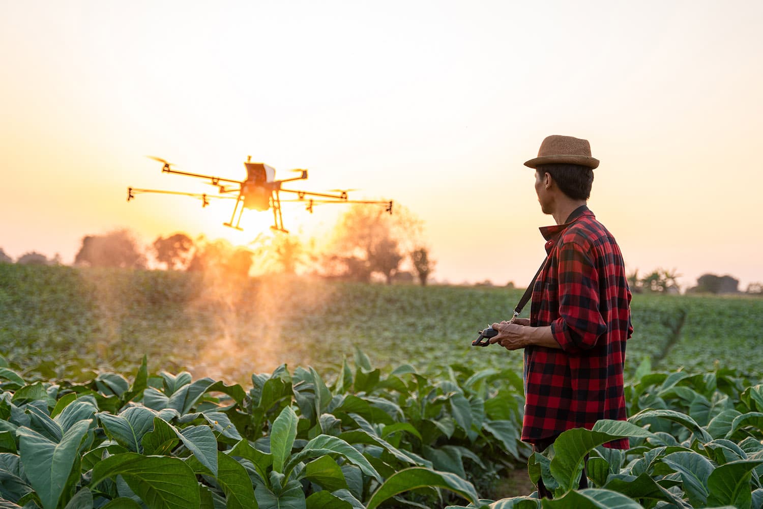 economic_business_thai_modern_agriculture_cuisine_world_SPACEBAR_Hero_f39ffb0974.jpg
