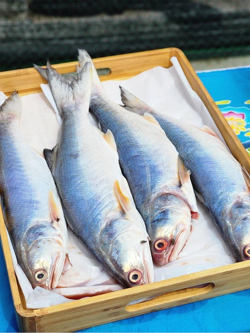 economic_business_thai_premium_products_dried_shrimp_SPACEBAR_Photo_V02_e118c01224.jpg