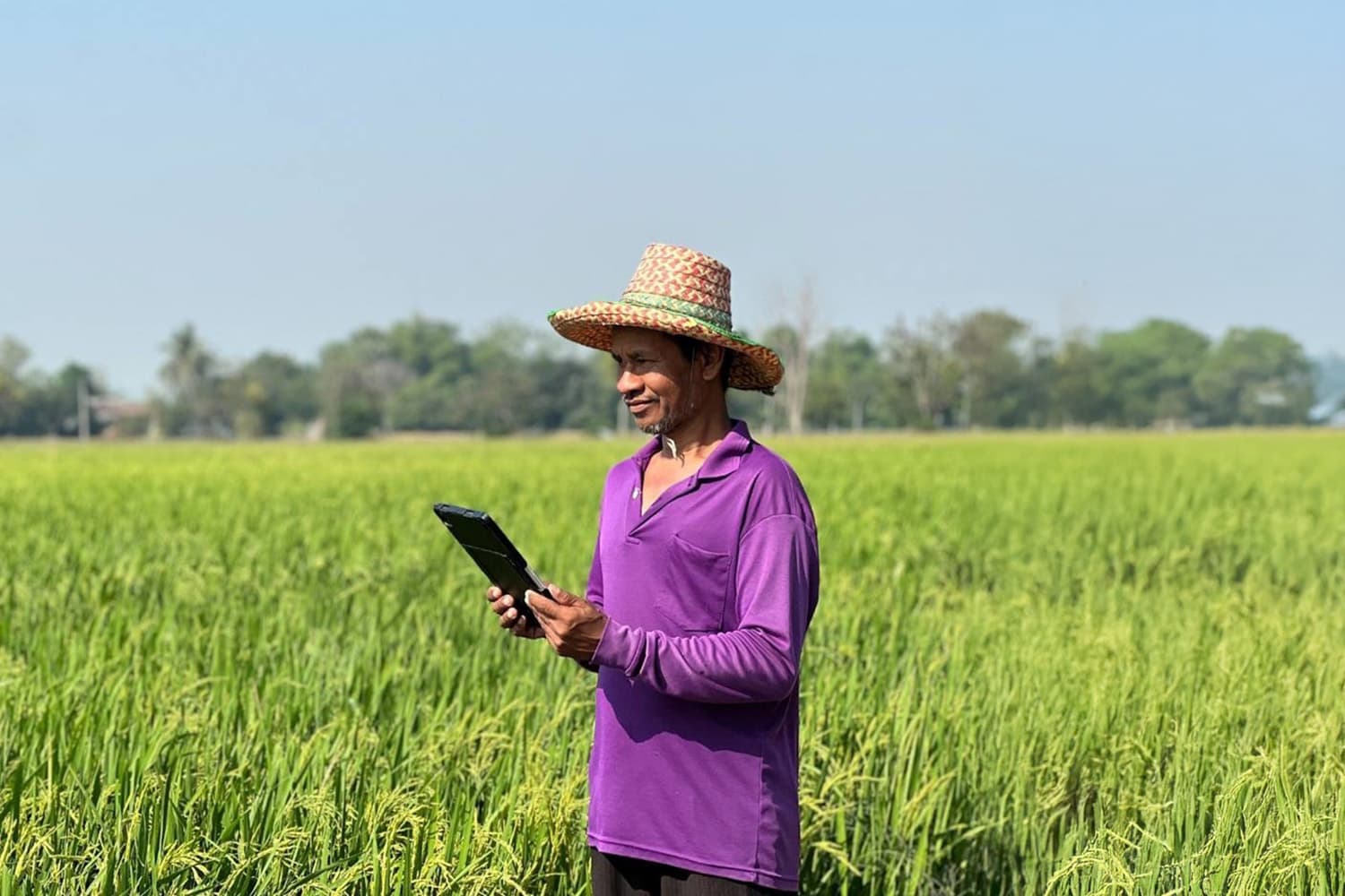 economic_business_thai_rice_farming_global_warming_carboncredits_SPACEBAR_Hero_ad052bf67d.jpg