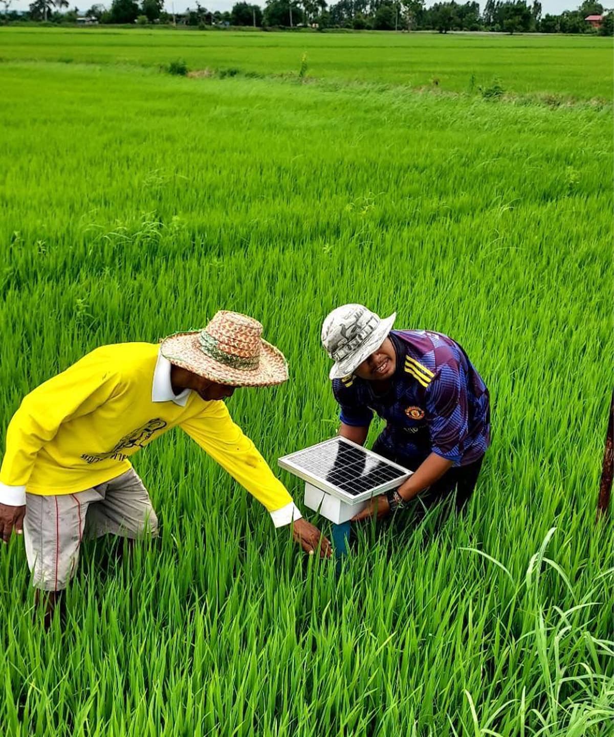 economic_business_thai_rice_farming_global_warming_carboncredits_SPACEBAR_Photo01_4e7285fc76.jpg