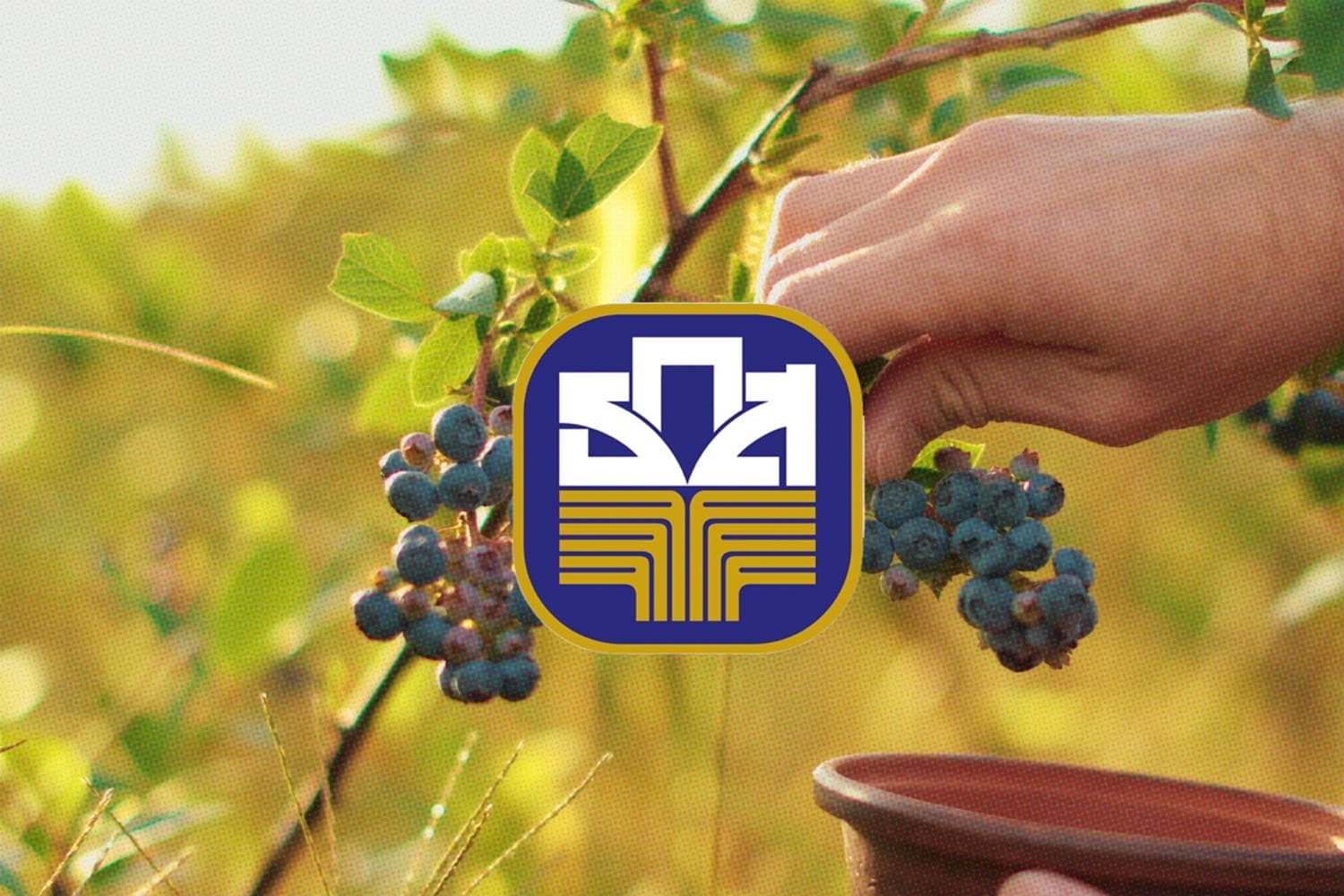 economic_loans_farmers_pick_wild_fruits_abroad_SPACEBAR_Hero_0c36ebfad0.jpg