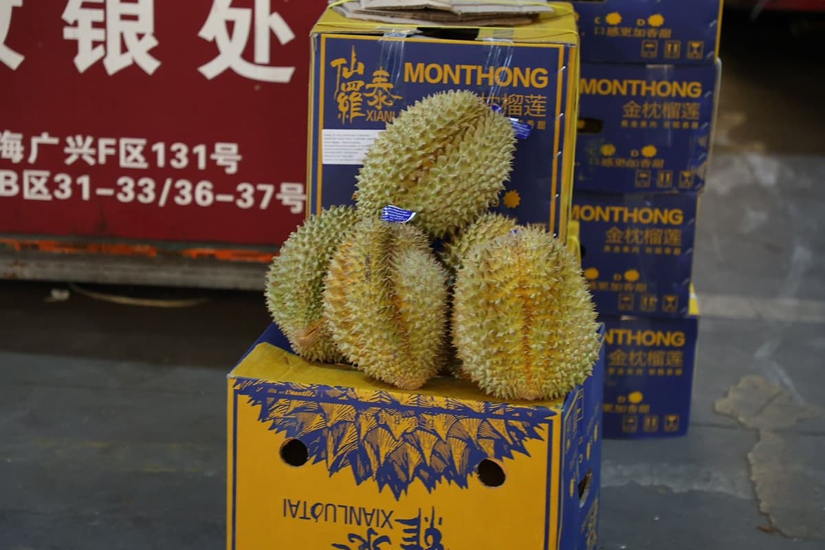 economic_thai_fruit_chinese_entrepreneurs_SPACEBAR_Photo02_9610a189f6.jpg