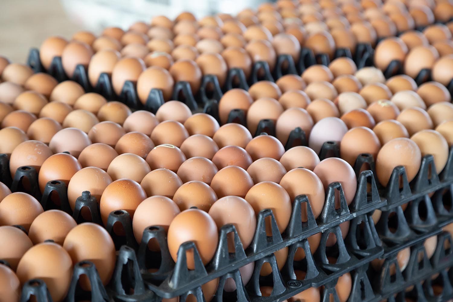 economy_egg_expensive_stuff_SPACEBAR_Hero_a0ef4641b4.jpg