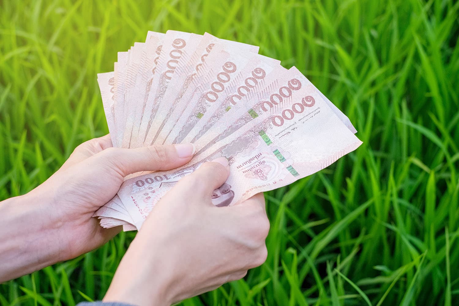 economy_farmer_money_thailand_suspend_debt_payment_baac_mobile_SPACEBAR_Hero_3c736be133.jpg