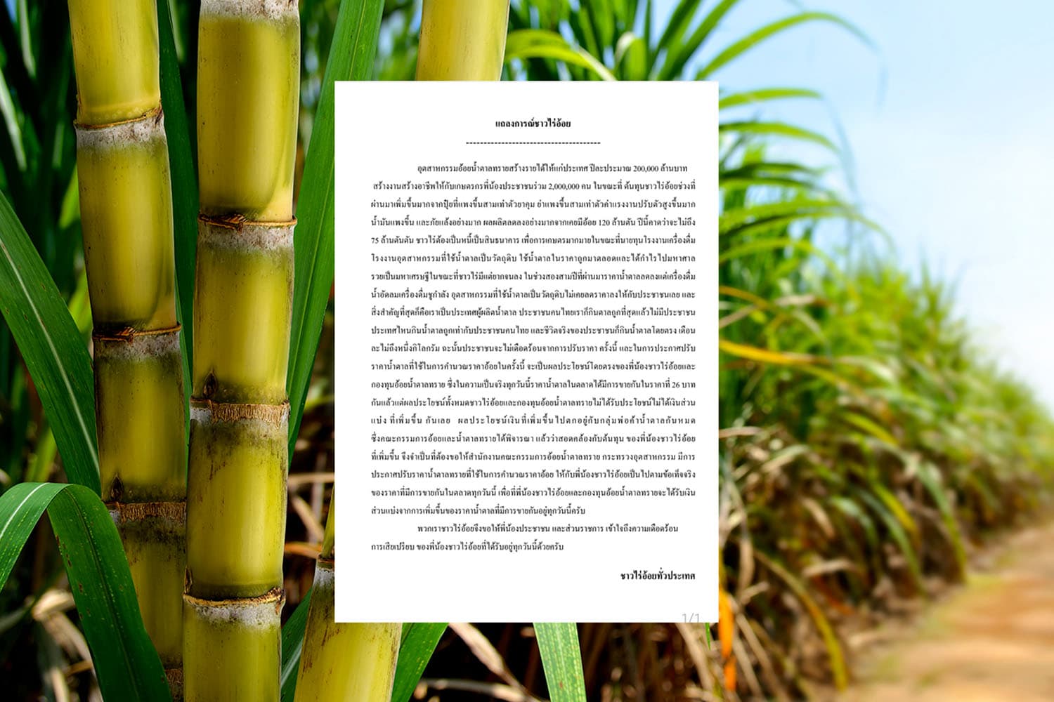 economy_granulated_sugar_sugarcane_farm_SPACEBAR_Hero_08c338f24e.jpg