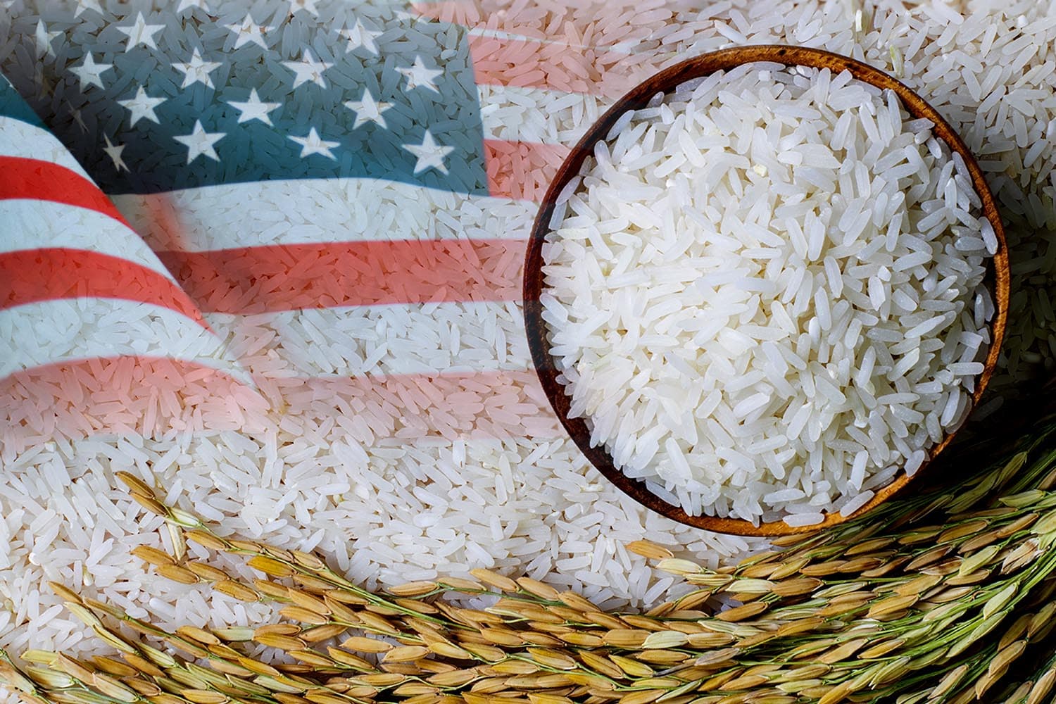 economy_usa_rice_market_thai_SPACEBAR_Hero_245c34e804.jpg