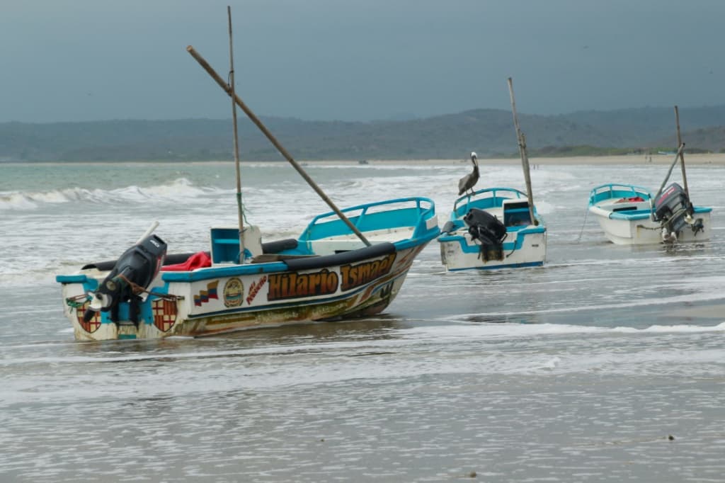 el-nino-record-pacific-temperature-copernicus-2024-1.jpg