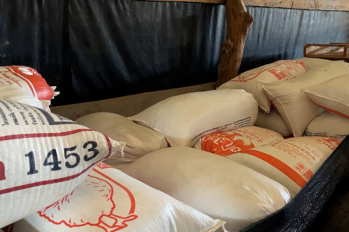 farmers_northeastern_rice_falling_prices_hope_free_rice_exports_SPACEBAR_Photo07_8fe9ca1ee5.jpg