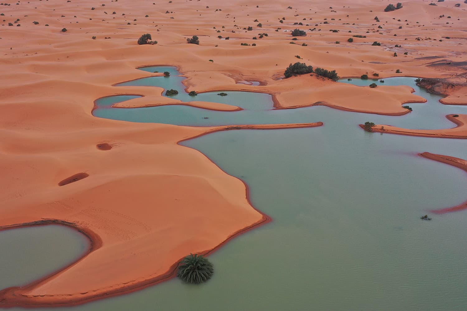 flooding_hits_sahara_desert_after_extremely_rare_rainfall_SPACEBAR_Hero_26089ed336.jpg