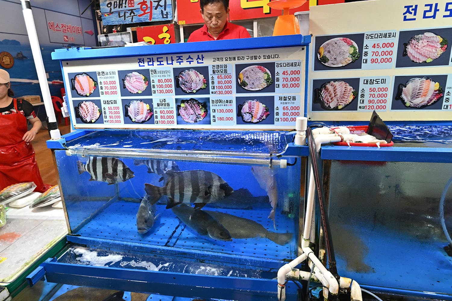fukushima_fish_180_times_legal_limit_radioactive_cesium_fuels_SPACEBAR_Hero_d8ba043ede.jpeg