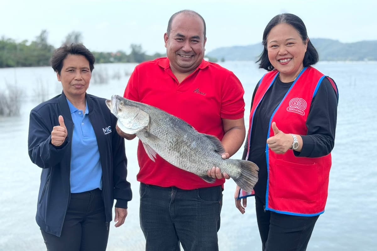go_wholesale_central_products_gi_sea_bass_songkhla_lake_SPACEBAR_Photo01_7739f30a34.jpg