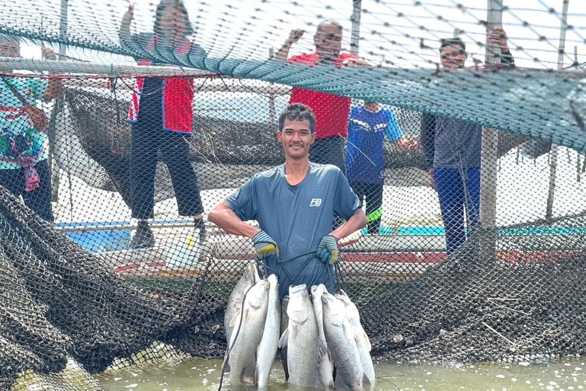 go_wholesale_central_products_gi_sea_bass_songkhla_lake_SPACEBAR_Photo02_b1a7d610a0.jpg