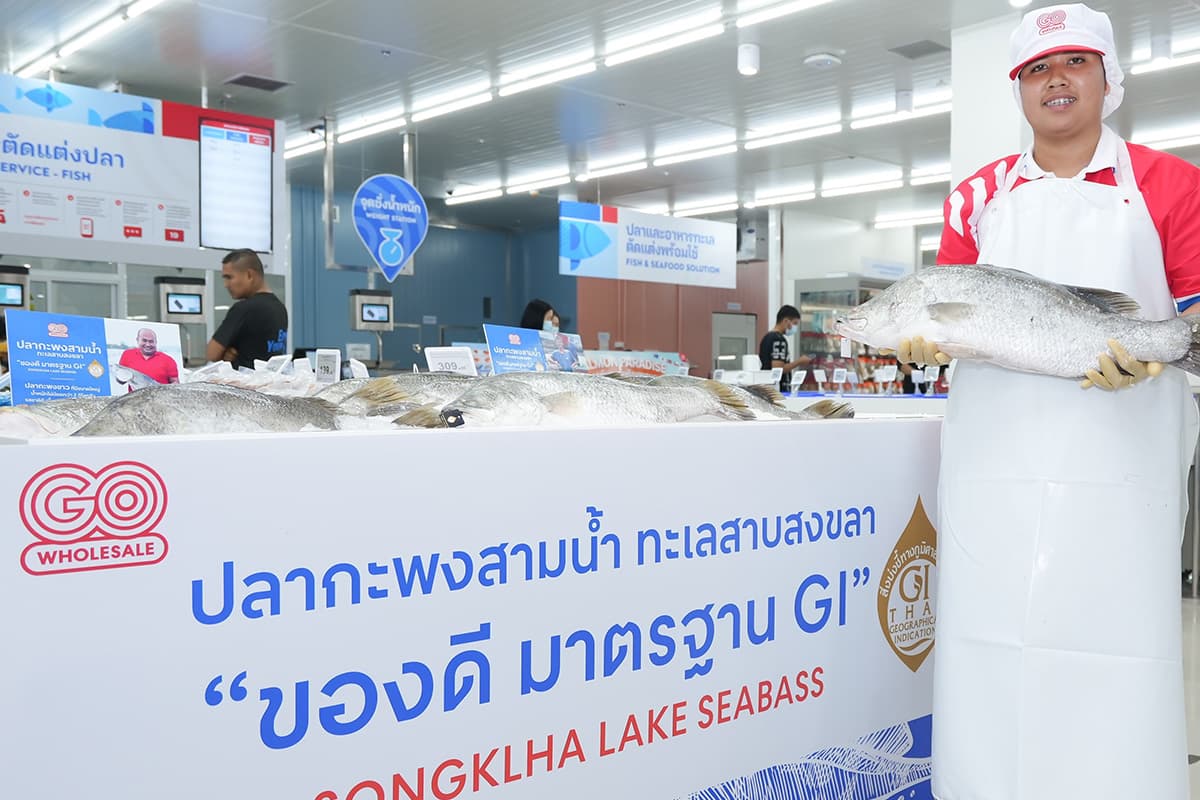 go_wholesale_central_products_gi_sea_bass_songkhla_lake_SPACEBAR_Photo06_2e61d5daed.jpg