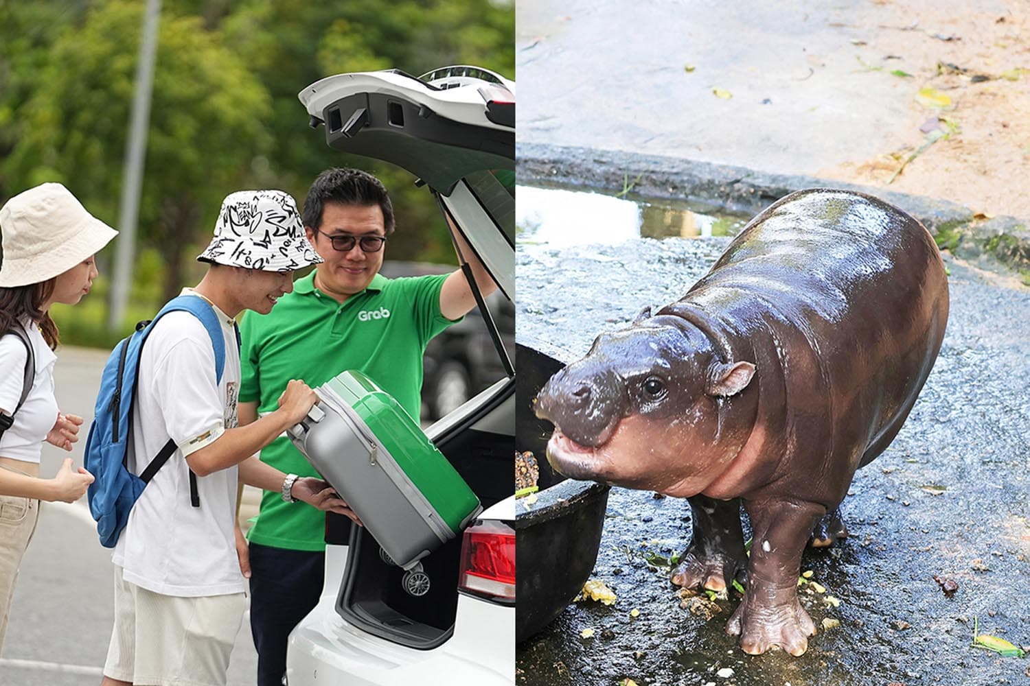 grab_moo_deng_fever_call_car_app_khao_kheow_zoo_increased_SPACEBAR_Hero_78ce0446e6.jpg