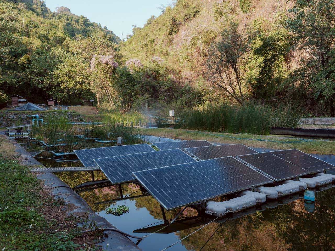 green-space-doi-tung-38-years-from-barren-mountains-to-sustainability-model-SPACEBAR-Photo03.jpg