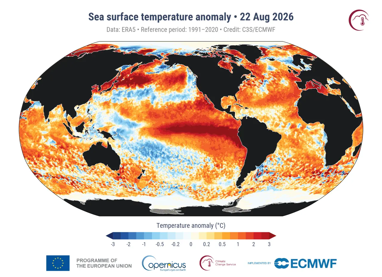 green-space-global-sea-surface-temperature-record-21-1c-2026-2.jpg