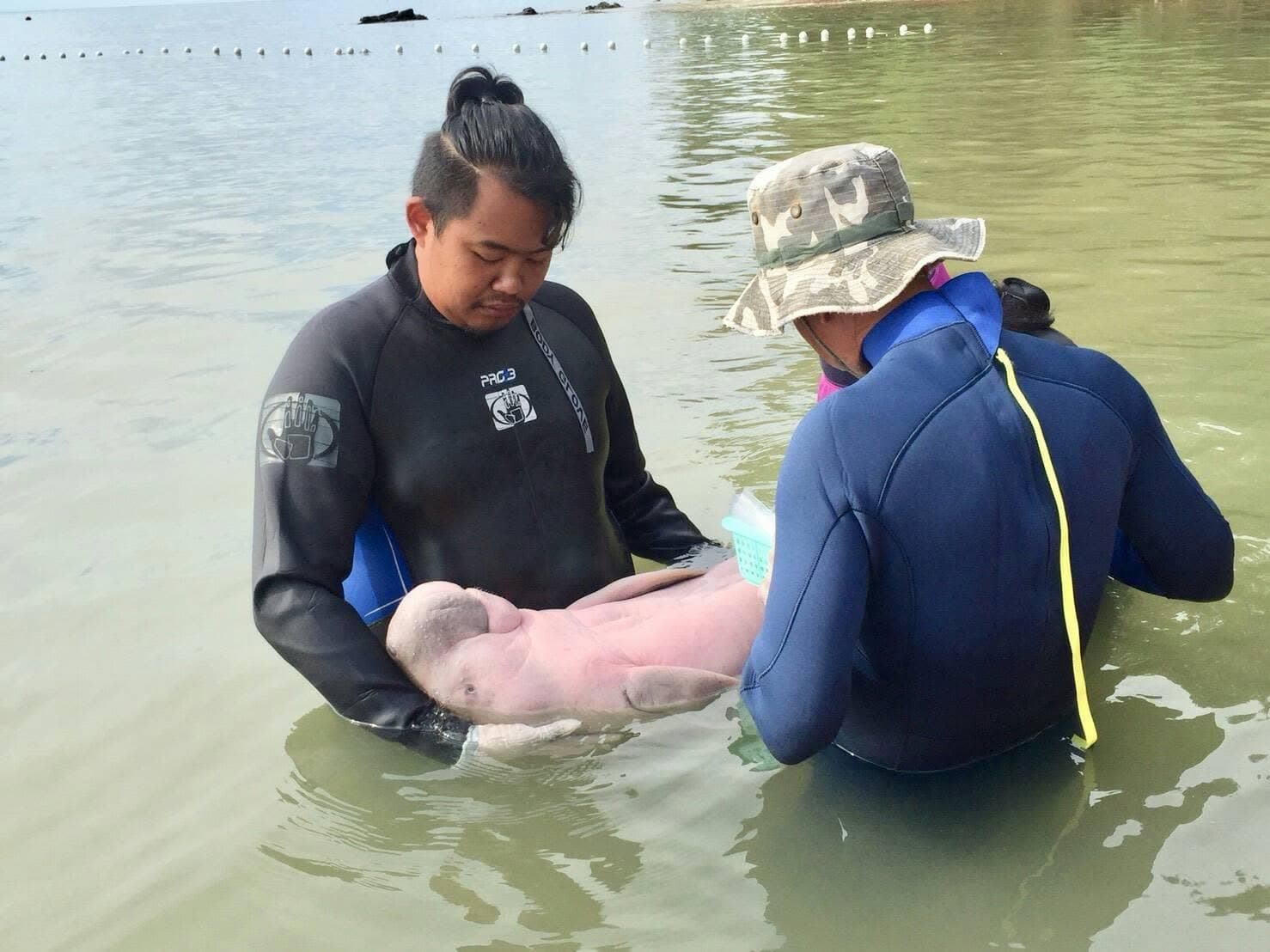 green-space-marium-yamil-dugong-thailand-marine-crisis-1.jpg