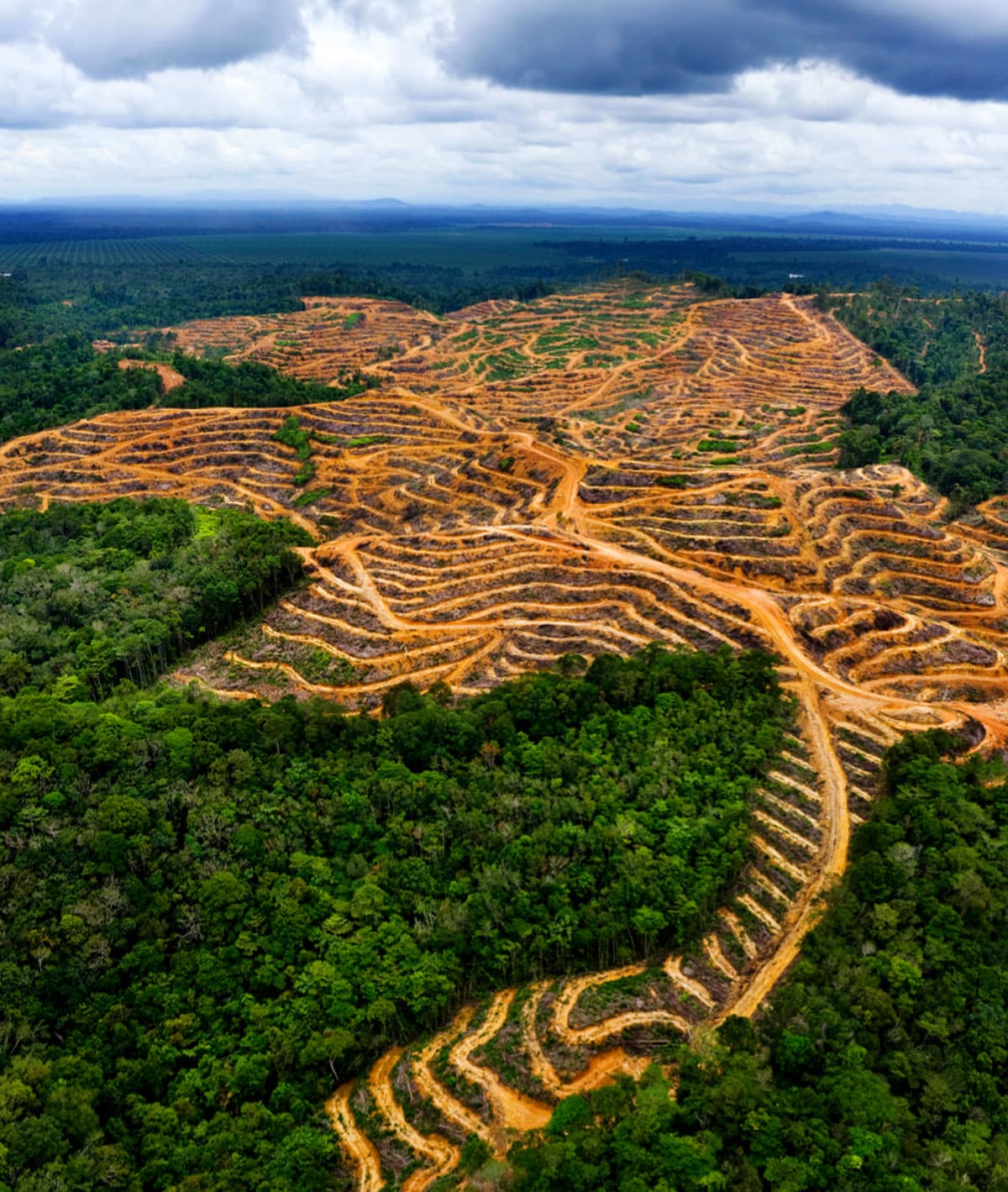 green-space-planetary-health-check-2026-7-boundaries-breached-SPACEBAR-Photo05.jpg