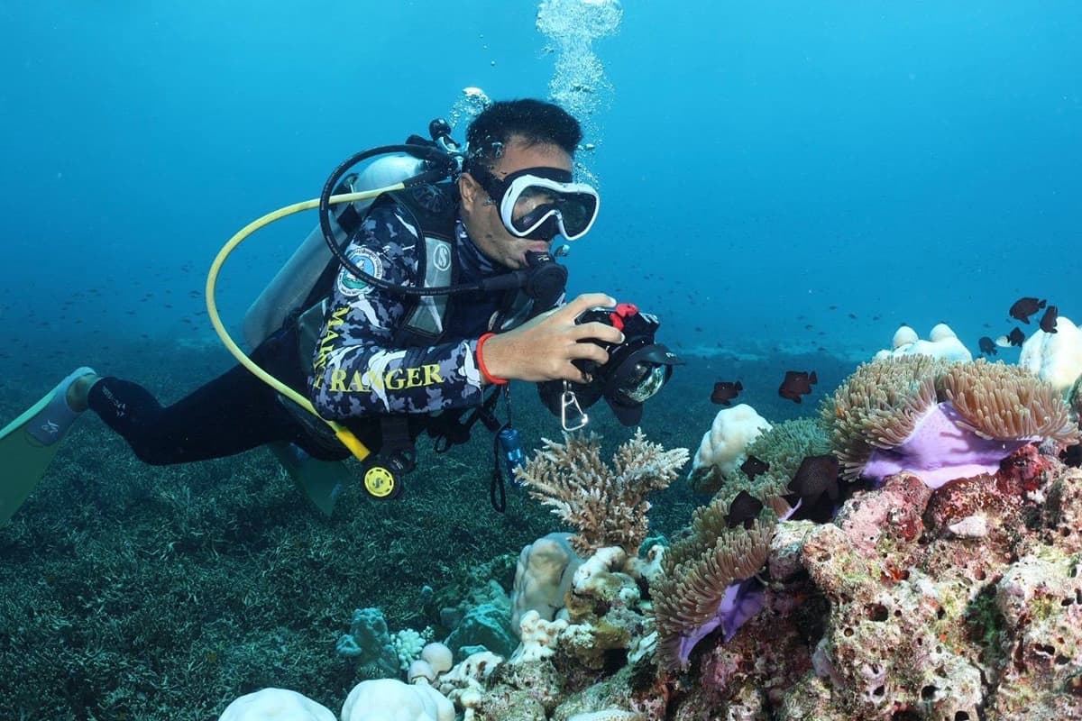 green-space-similan-island-closure-nature-restoration-explained-SPACEBAR-Photo05.jpg
