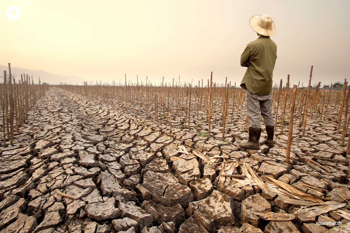 green-space-super-el-nino-climate-inflation-food-cost-thailand-2571-SPACEBAR-Photo01.png