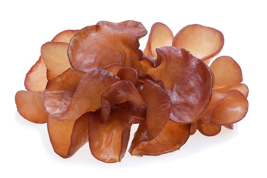 health_benefits_of_mushrooms_SPACEBAR_Photo02_379199c288.jpeg