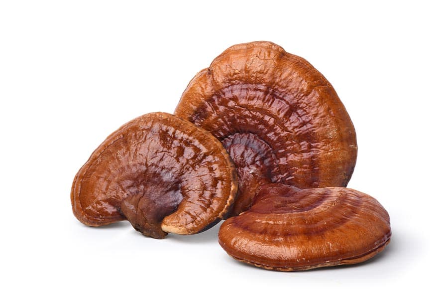 health_benefits_of_mushrooms_SPACEBAR_Photo03_60a5642cf7.jpeg