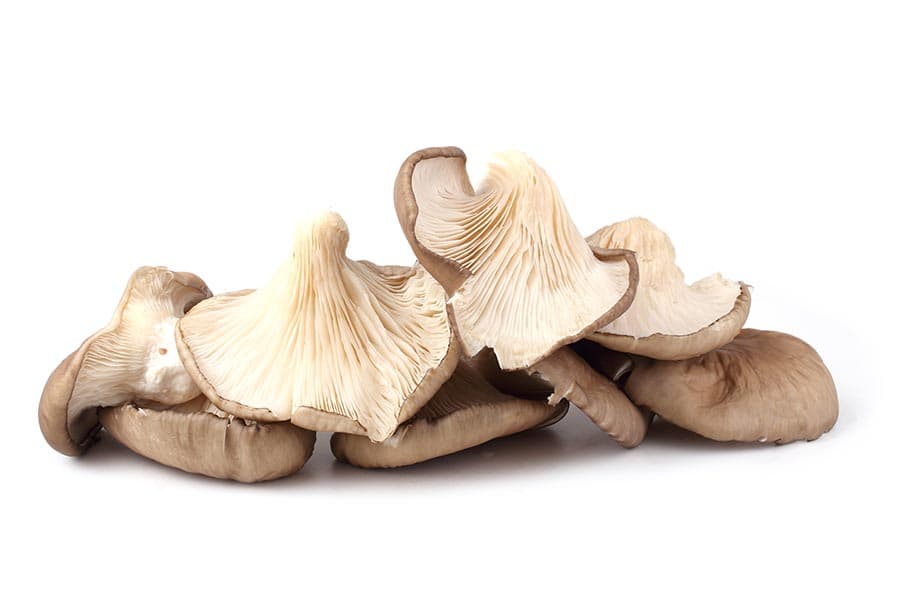 health_benefits_of_mushrooms_SPACEBAR_Photo05_12a76d7437.jpeg