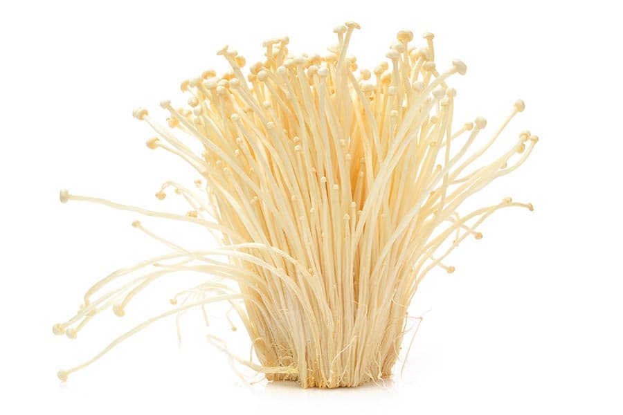 health_benefits_of_mushrooms_SPACEBAR_Photo05_copy_2_917133f573.jpeg