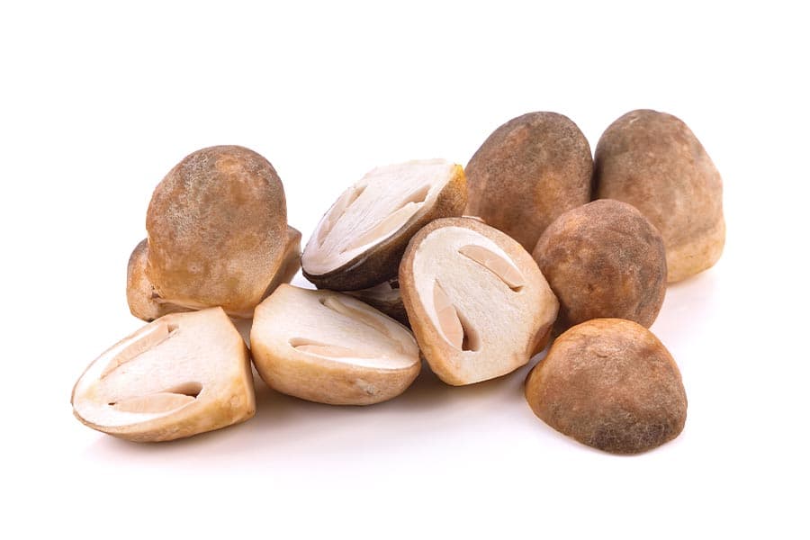 health_benefits_of_mushrooms_SPACEBAR_Photo05_copy_6111a93500.jpeg