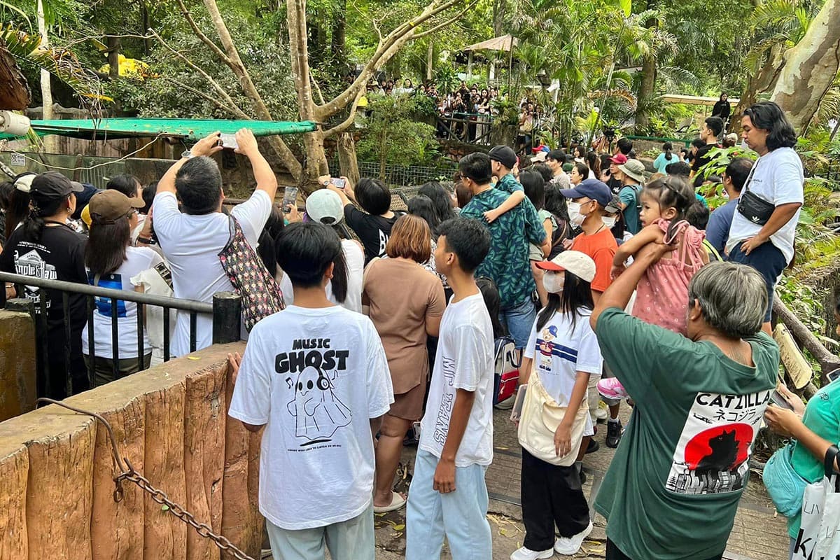 hippopotamus_moo_deng_khao_kheow_open_zoo_fashion_t_shirts_SPACEBAR_Photo01_6fb6cb58ed.jpg
