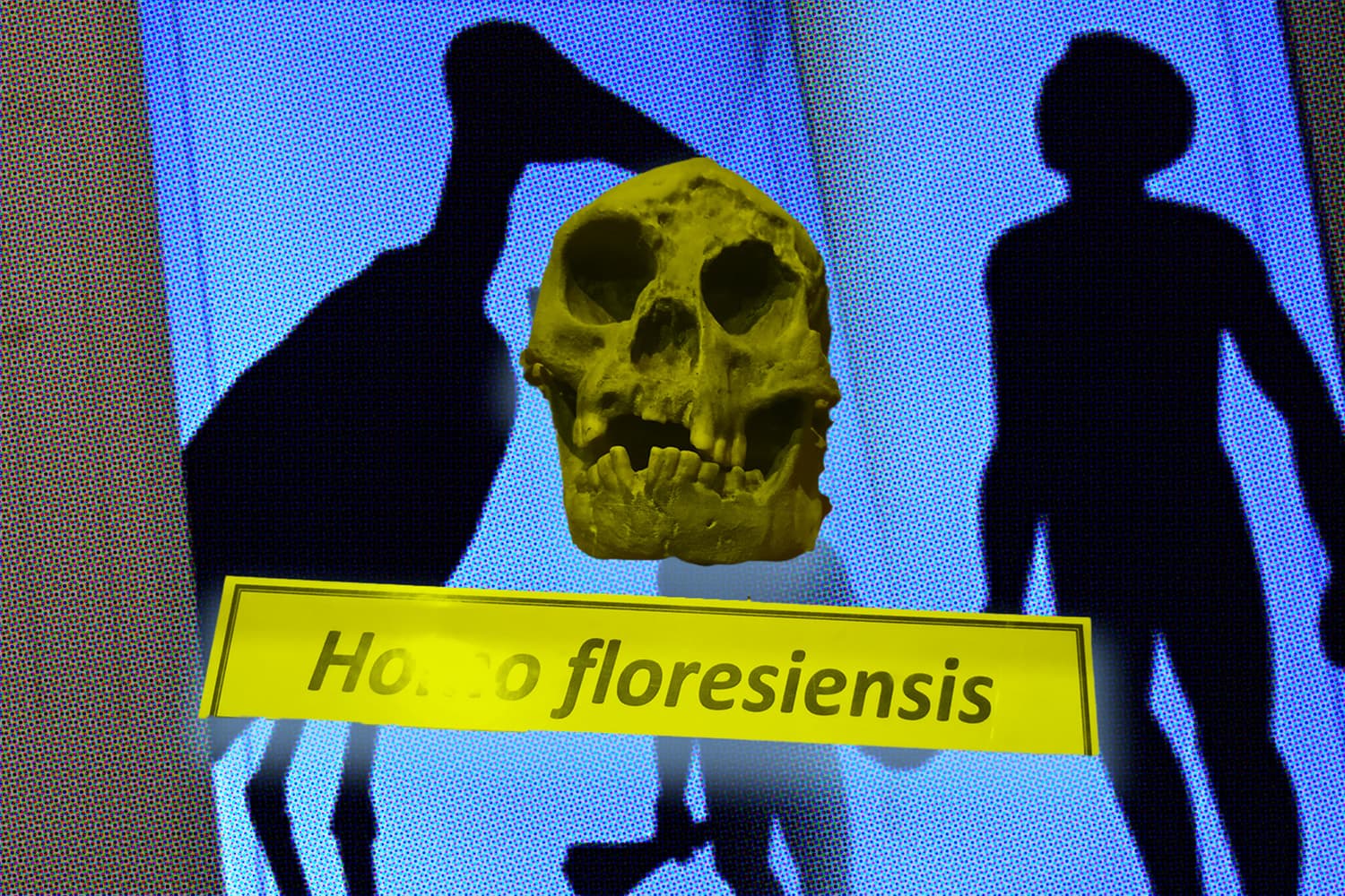hobbit_bone_tiny_species_ancient_humans_found_indonesian_island_SPACEBAR_Hero_d532fe7a81.jpg