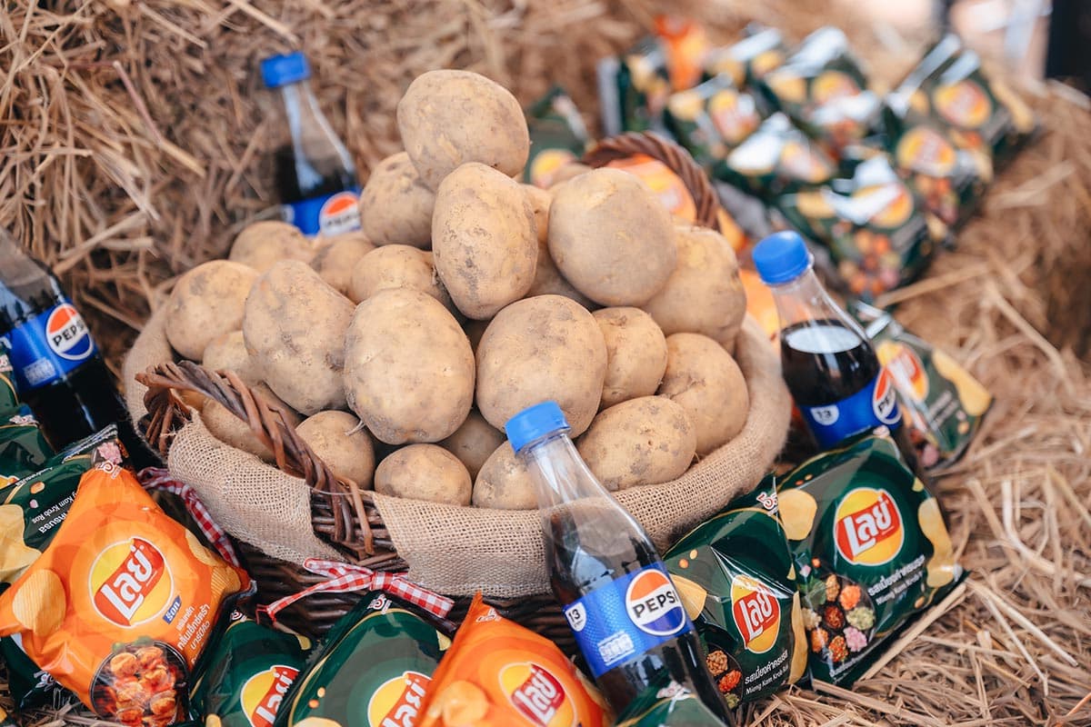 international_potato_day_thailand_farmer_sustainably_grown_SPACEBAR_Photo01_06a6ee93ed.jpg
