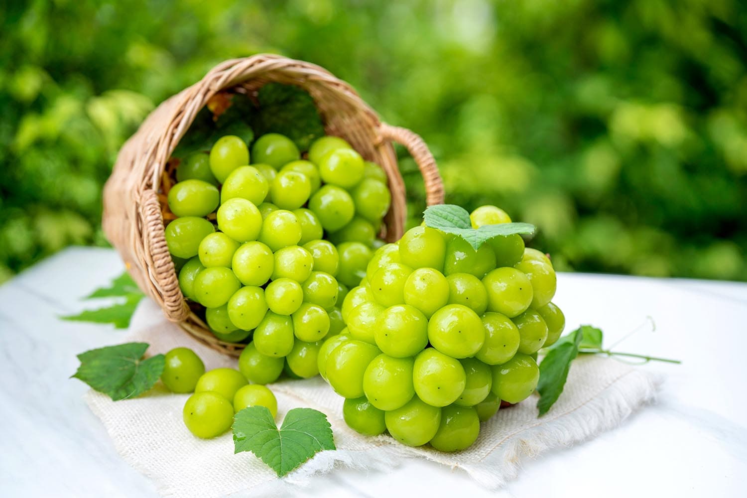 japan_sours_as_premium_grape_widely_copied_in_china_south_korea_SPACEBAR_Hero_13eafc890d.jpg