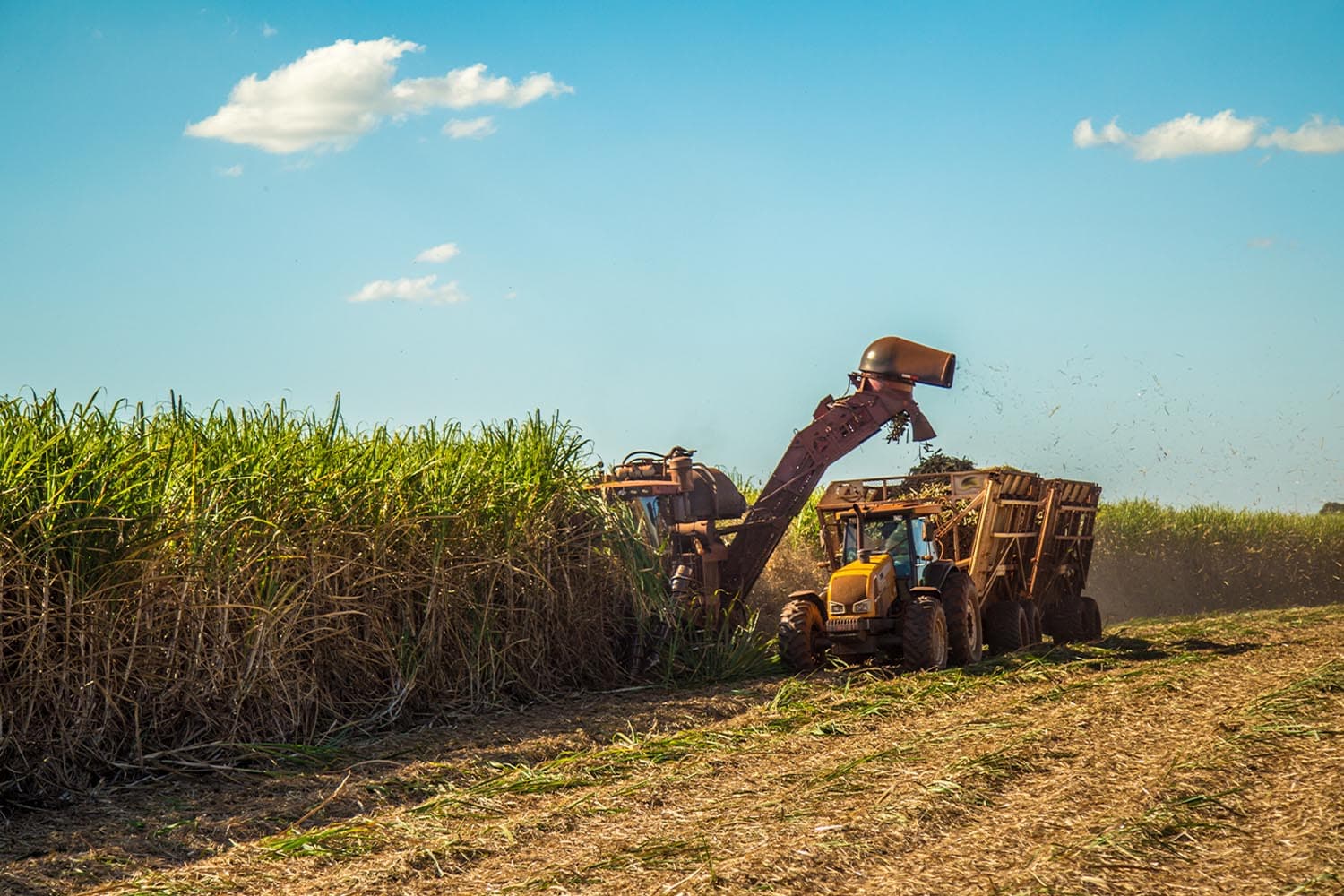 ktb_scb_loan_cutting_fresh_sugarcane_pm_dust_sugar_cane_industry_SPACEBAR_Hero_bfe4c35b27.jpg