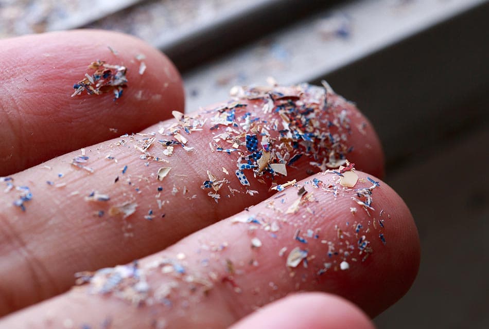 microplastics_detected_entering_brain_just_2_hours_after_ingestion_SPACEBAR_Thumbnail_2daae8d781.jpeg