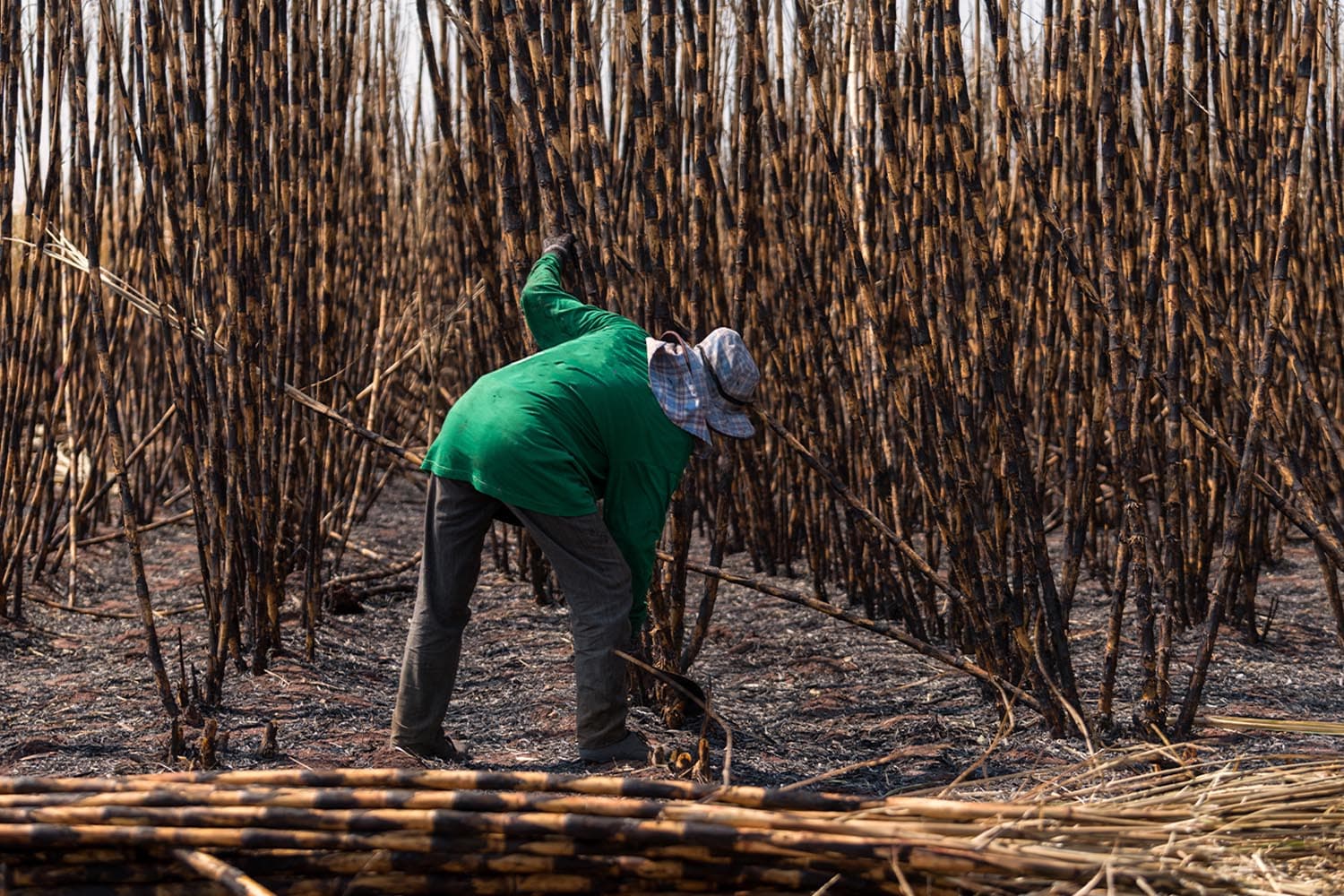 mitr_phol_thairungruang_subsidiary_factory_burnt_sugarcane_SPACEBAR_Hero_f96dc3a97a.jpg