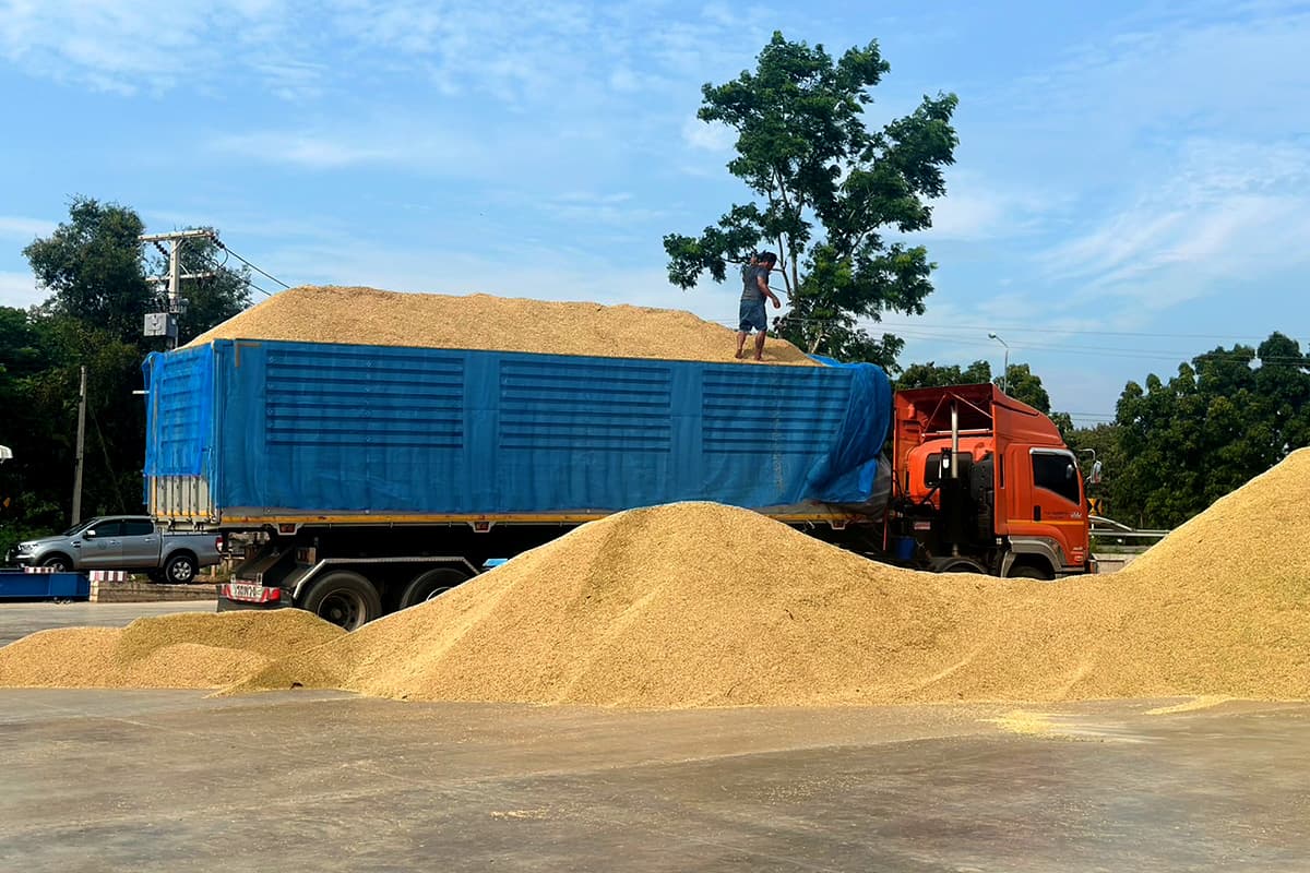 moac-open-rice-purchasing-points-farmer-prices-low-carbon-SPACEBAR-Photo01.jpg