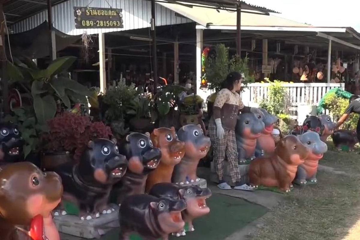 moo_deng_khao_kheow_open_zoo_performance_excellent_2567_SPACEBAR_Photo04_ff56ff38cf.jpg