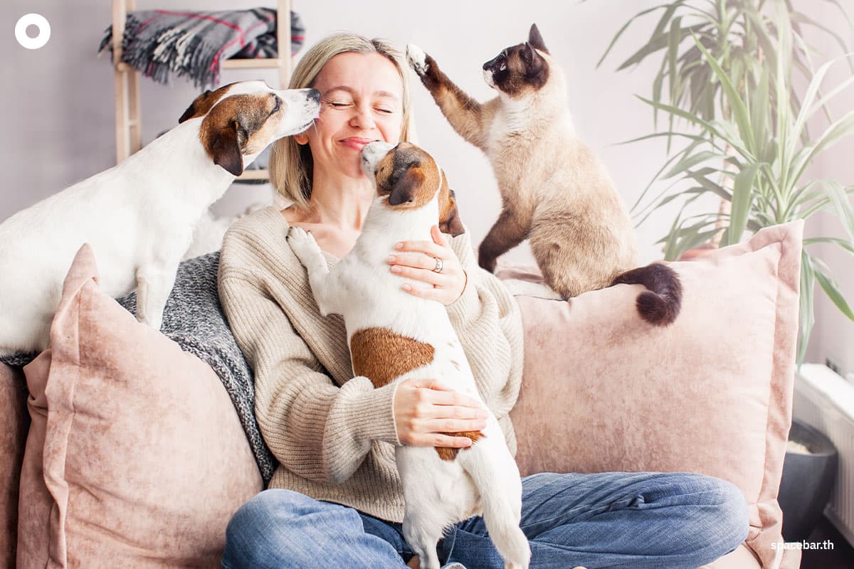 petting_another_persons_dog_10_minutes_can_reduce_stress_SPACEBAR_Photo01_613797630f.jpeg