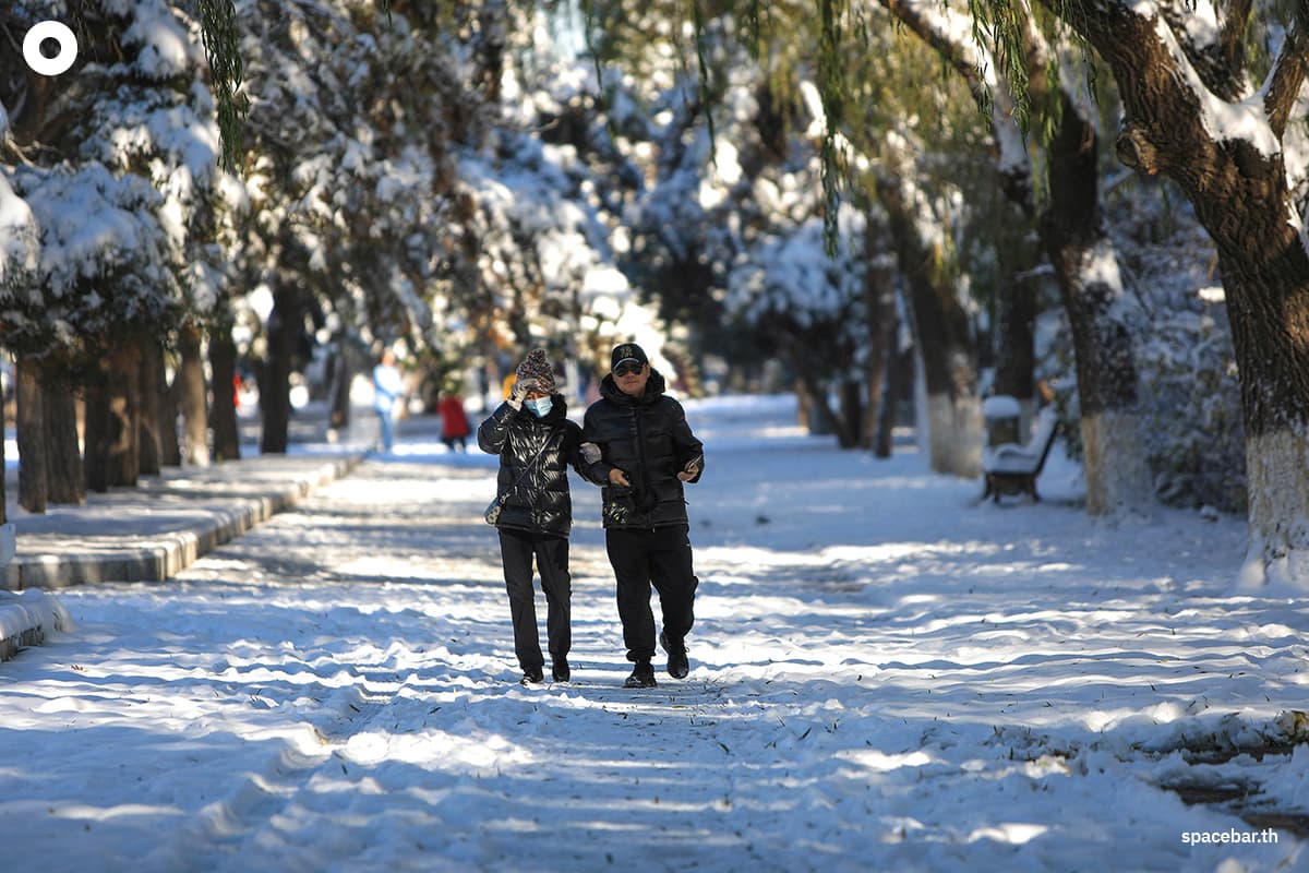 photo_story_china_snow_shenyang_beiling_park_SPACEBAR_Photo02_Copy_52f42f181e.jpg