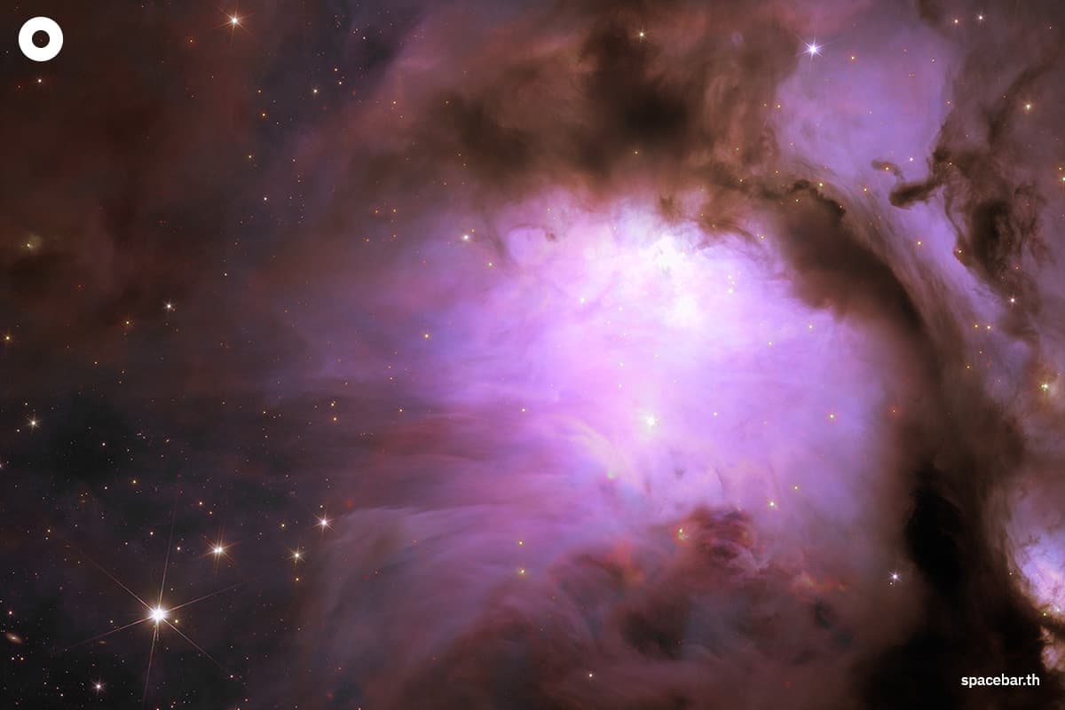 photo_story_euclid_space_telescope_unveils_new_images_of_the_cosmos_SPACEBAR_Photo00_1_d57e454c4c.jpg