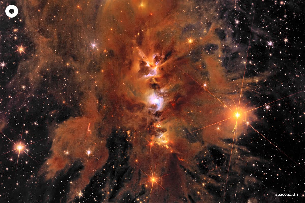 photo_story_euclid_space_telescope_unveils_new_images_of_the_cosmos_SPACEBAR_Photo01_1_ee9df4176b.jpg